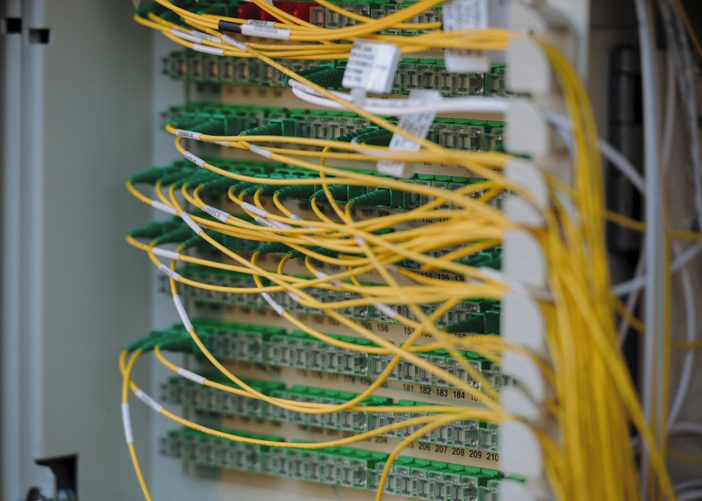 Data Management preview